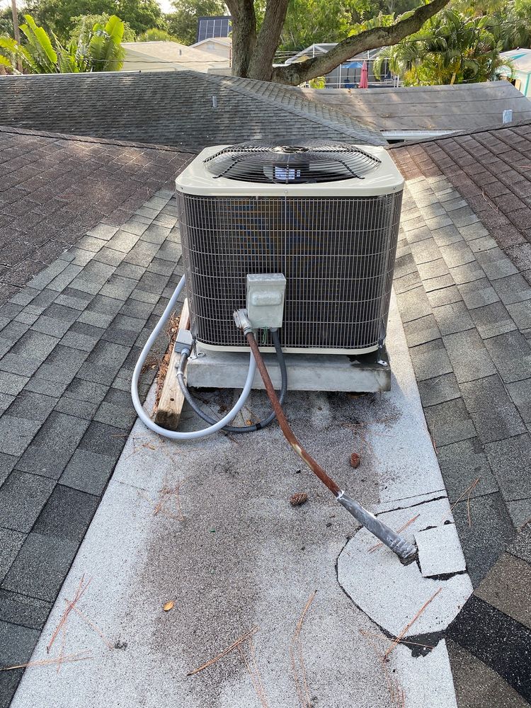 image of business Martin Carpenter