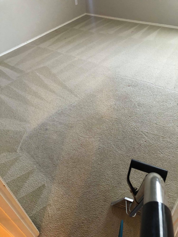 Black Tie Carpet Care