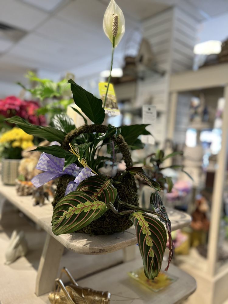 Comal Flower Shop