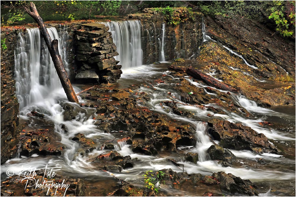 Amis Mill Eatery 20 Photos & 20 Reviews Southern 127 W Bear