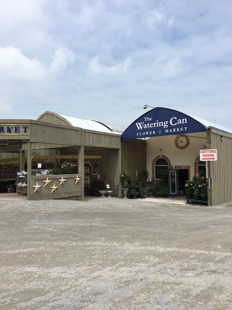 Watering Can Flower Market Florists 3711 King Street, Vineland, ON