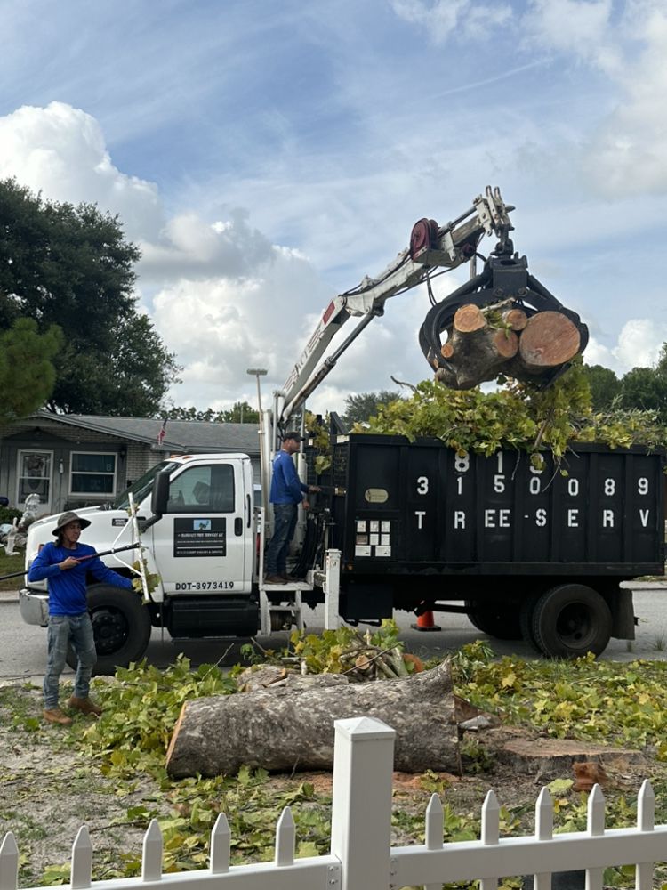 Star Bluegill's Tree Services