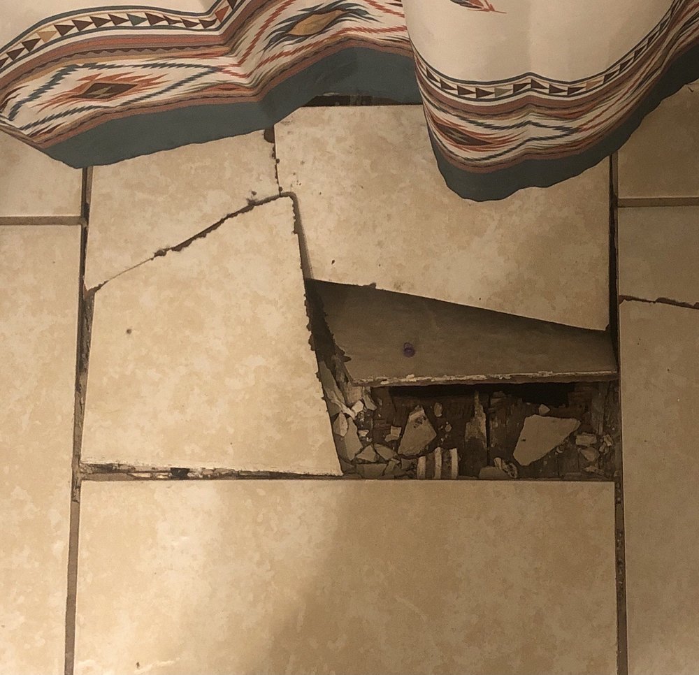 image of business Shady Grove Flooring