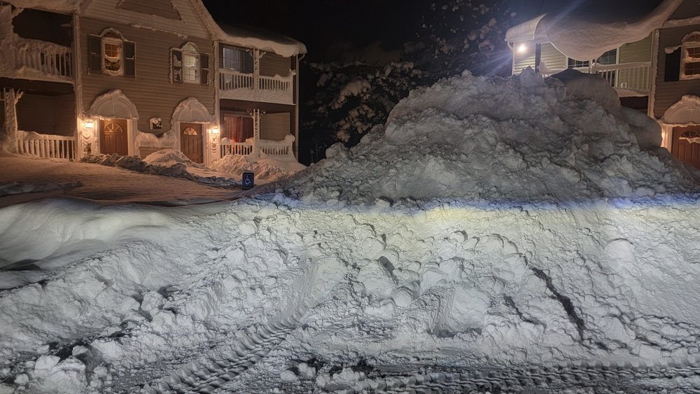 L M M Properties