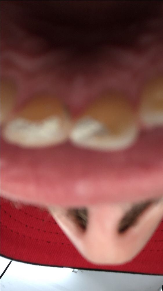 image of business Federal Way Dental