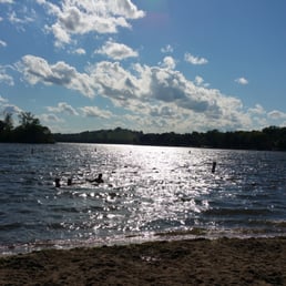 Site de rencontre pour amis des animaux