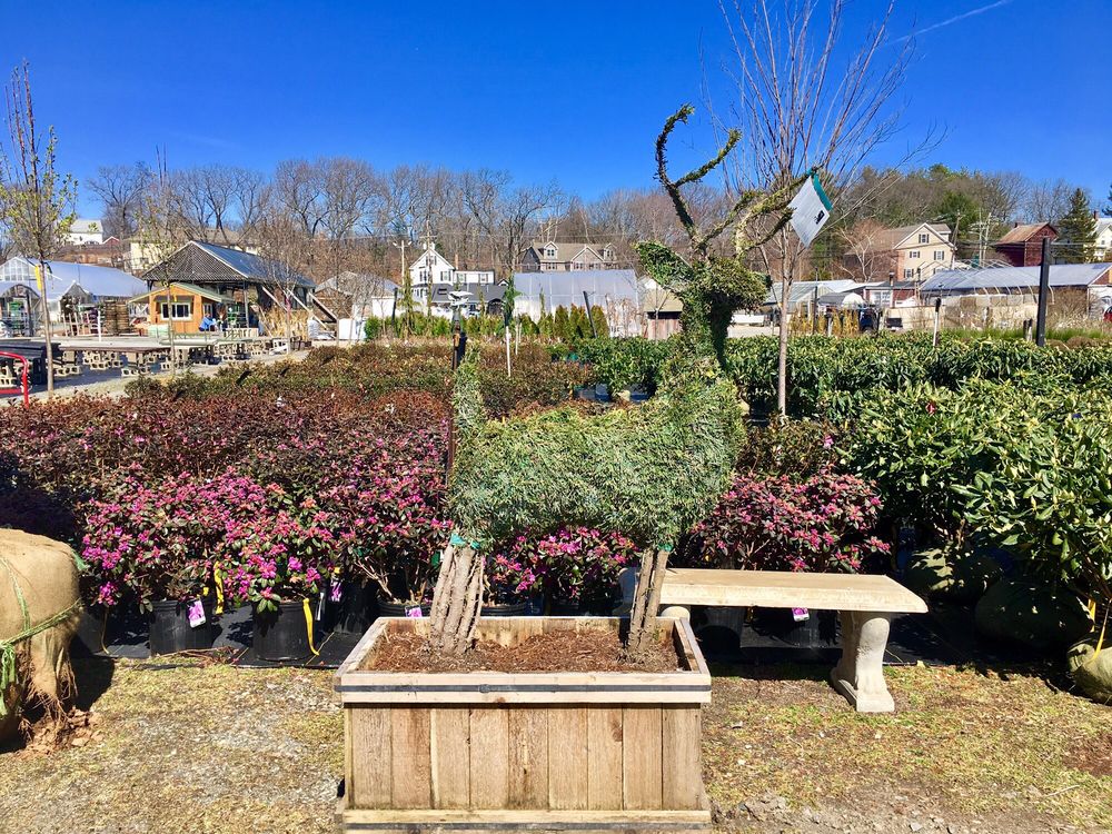 Mahoney’s Florists 165 Princeton St, North Chelmsford, MA Phone