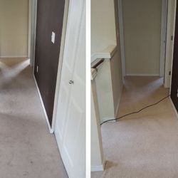 Bravo Carpet Cleaning Services 11 Photos Mount Photo Of Bravo Carpet Cleaning Services Mount Vernon Wa United States