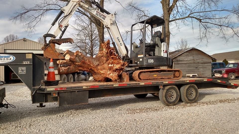 Turner Lawn Care & Landscaping