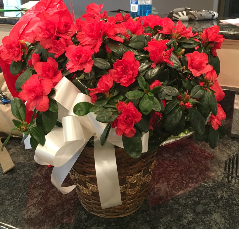 Fancy Petals Flowers and Gifts Florists 301 Hopkins St, Defiance, OH Phone Number