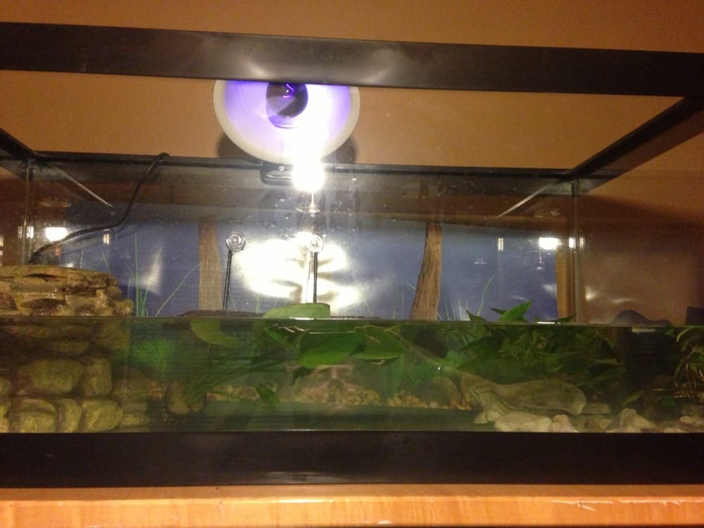 Petco 10 Reviews Pet Training 59 Fort Couch Rd, Bethel Park, PA Phone Number Yelp