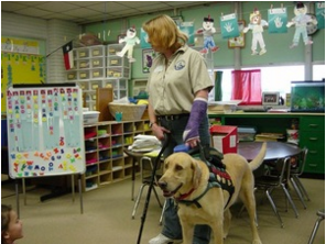 Service Dog Training The Woodlands Tx Service Dog Training The Woodlands Tx