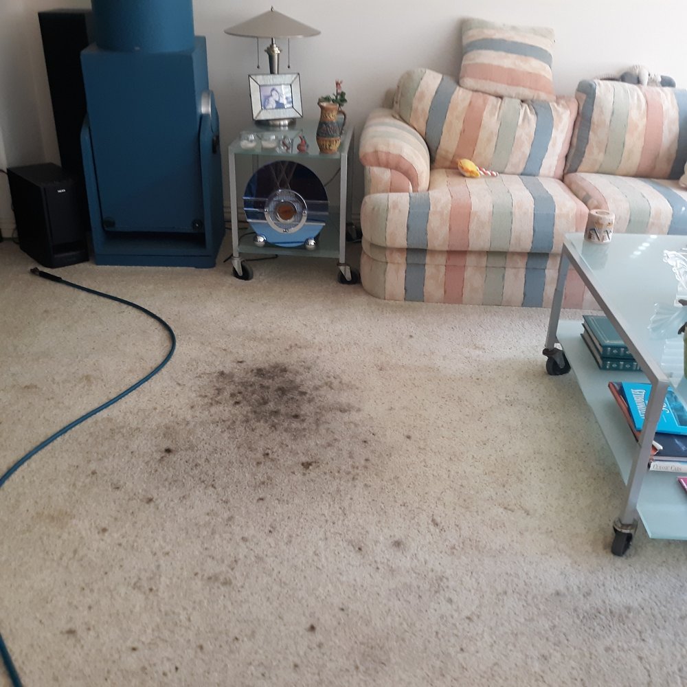 Miracle Services Green Carpet Cleaning