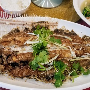 Golden City Seafood Restaurant 242 Photos 39 Reviews Chinese Photo Of Golden City Seafood Restaurant Brooklyn Ny United States