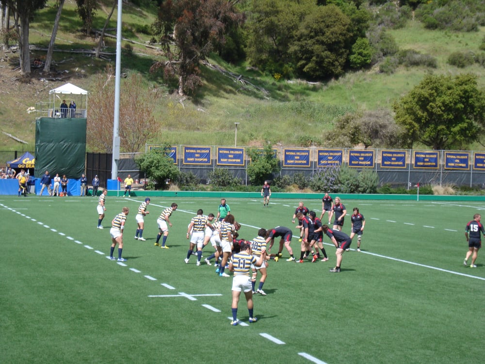 Witter Rugby Field