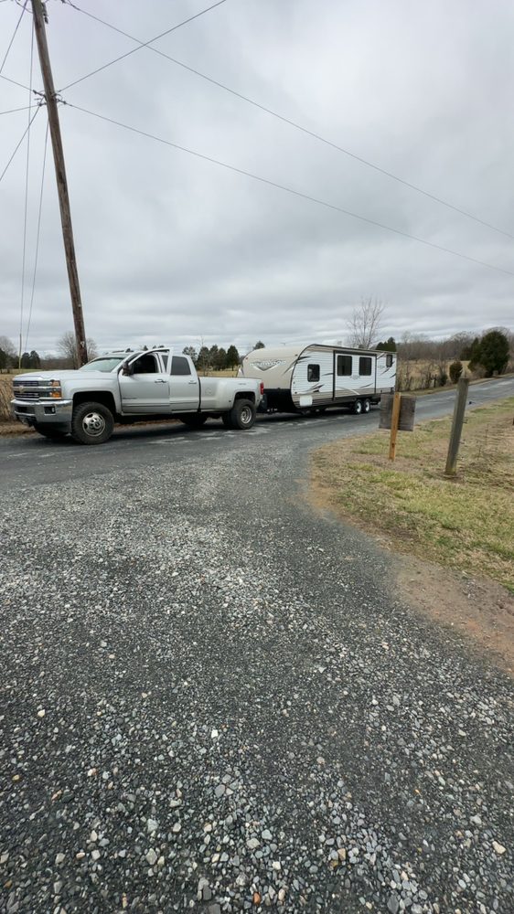 Boston Tree Services