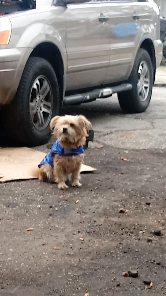 Bells Service Center