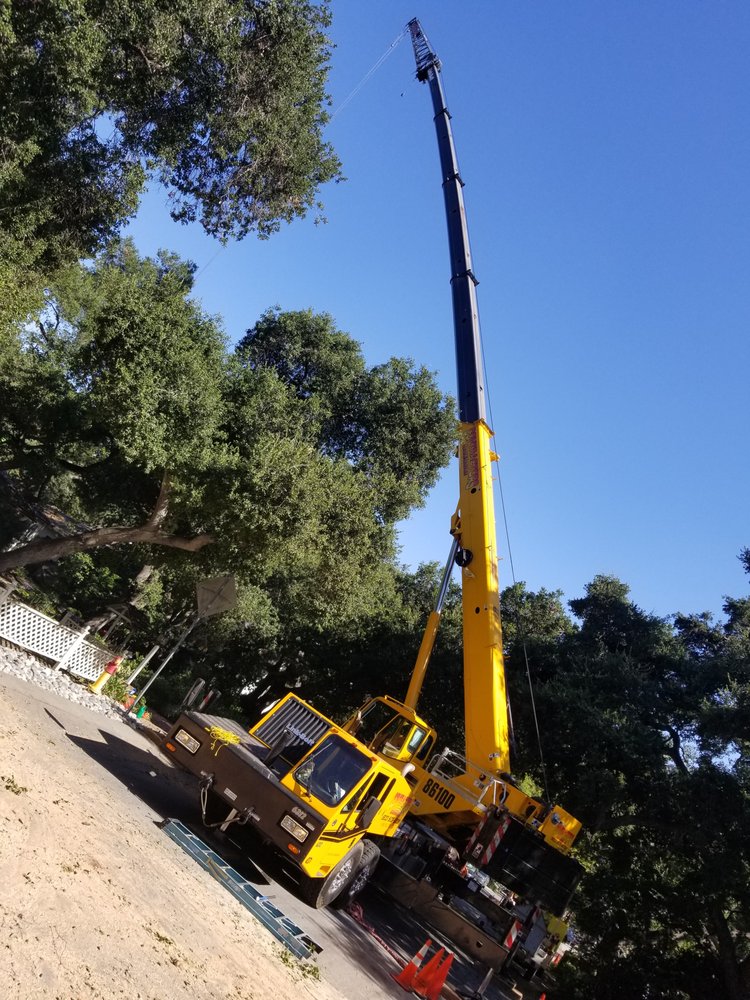Steven's Tree Experts Inc