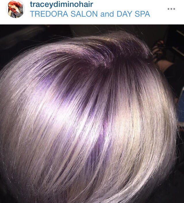 Purple Root Silver Ends Yelp