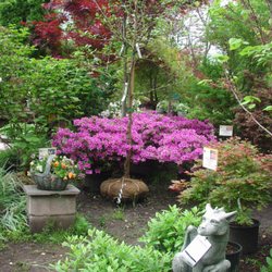 Ambleside Gardens Nursery Nurseries Gardening 834 Us Hwy 206 Photo Of Ambleside Gardens Nursery Hillsborough Nj United States
