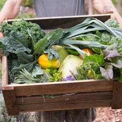 Restaurants In Haiku Pauwela Yelp The Wooden Crate At Lumeria Maui