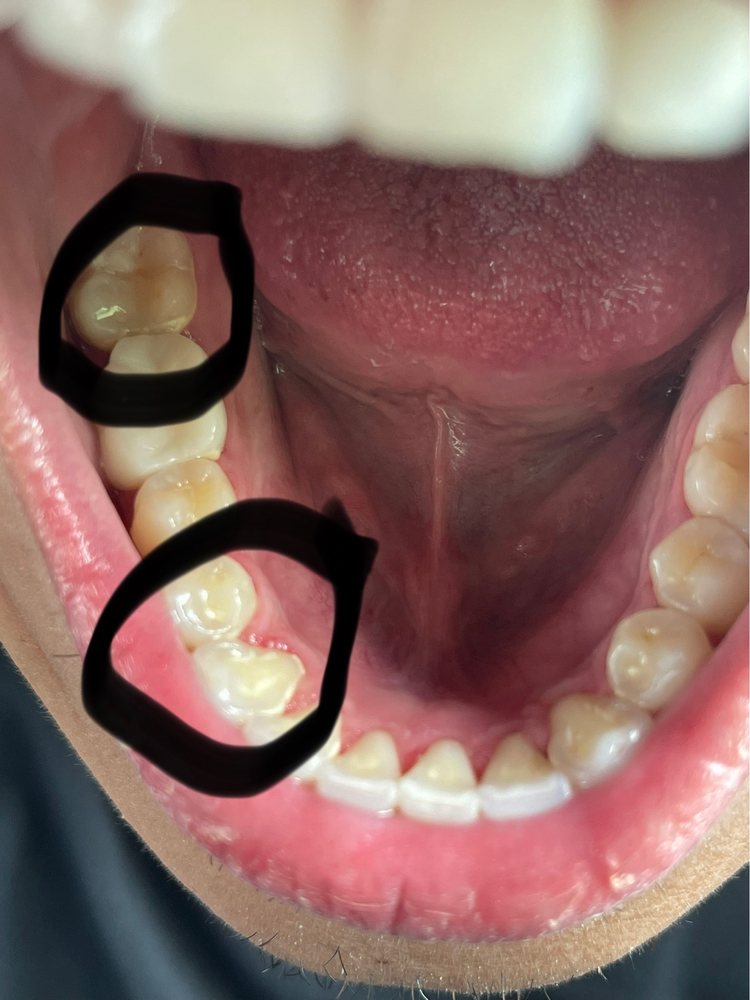 image of business Newport Dental