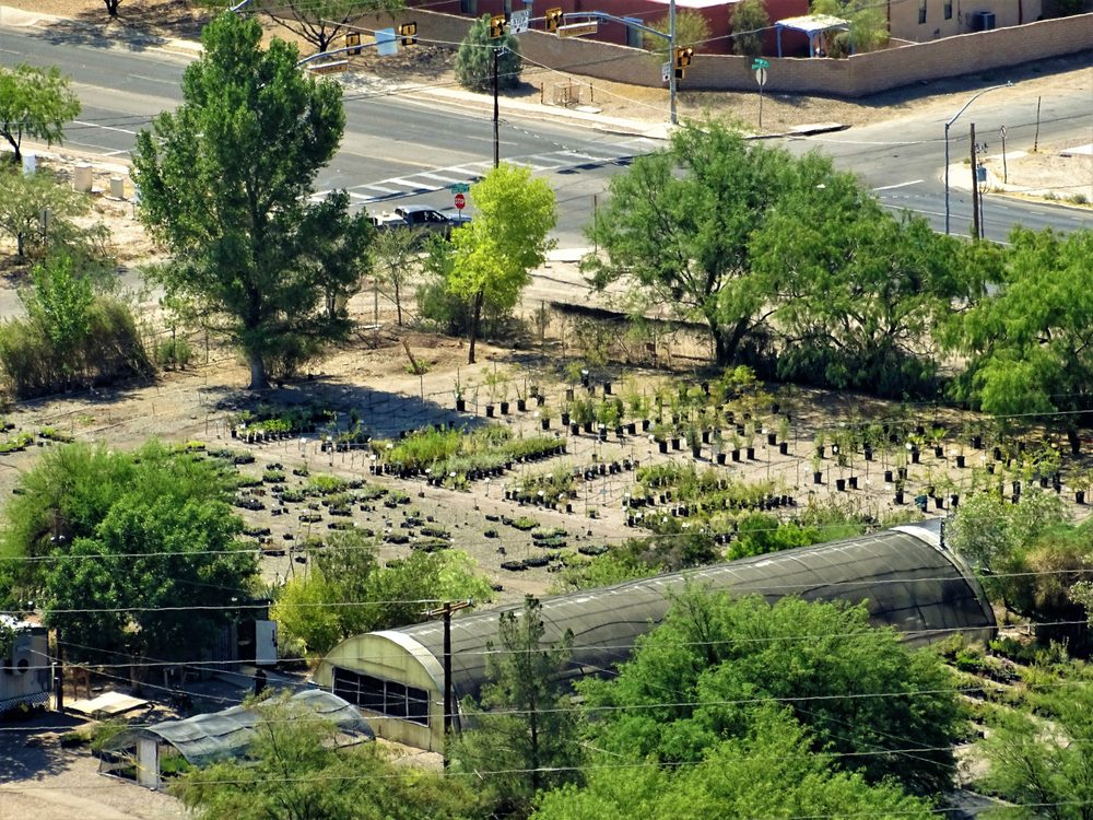 Desert Survivors Native Plant Nursery 14 Reviews Nurseries