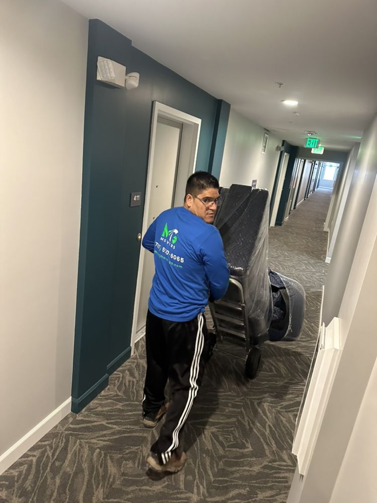 Mg Movers