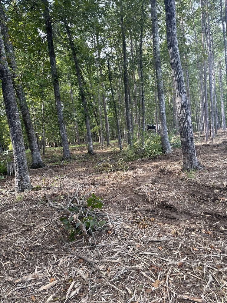 Segovia Tree Service LLC