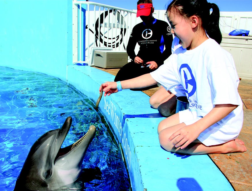 Clearwater Marine Aquarium 504 Photos & 413 Reviews Aquariums 249