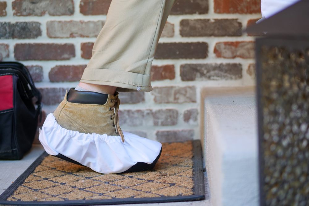 Issaquah Pest Control - Tacoma