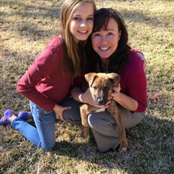 Dissertation and kimberly anderson and texas