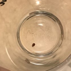 Affordable Bed Bug Exterminators 12 Photos Pest Control 6650 W Photo Of Affordable Bed Bug Exterminators Milwaukee Wi United States
