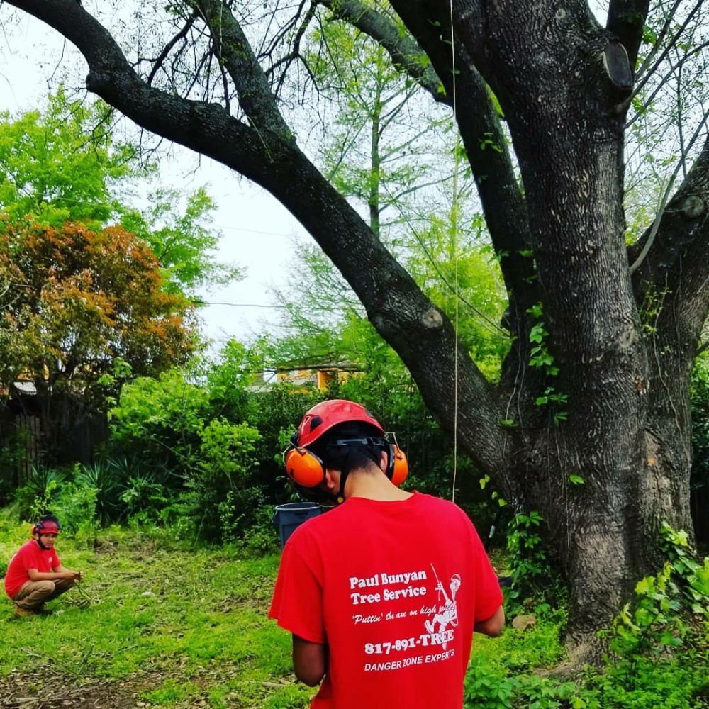 Paul Bunyan Tree Services