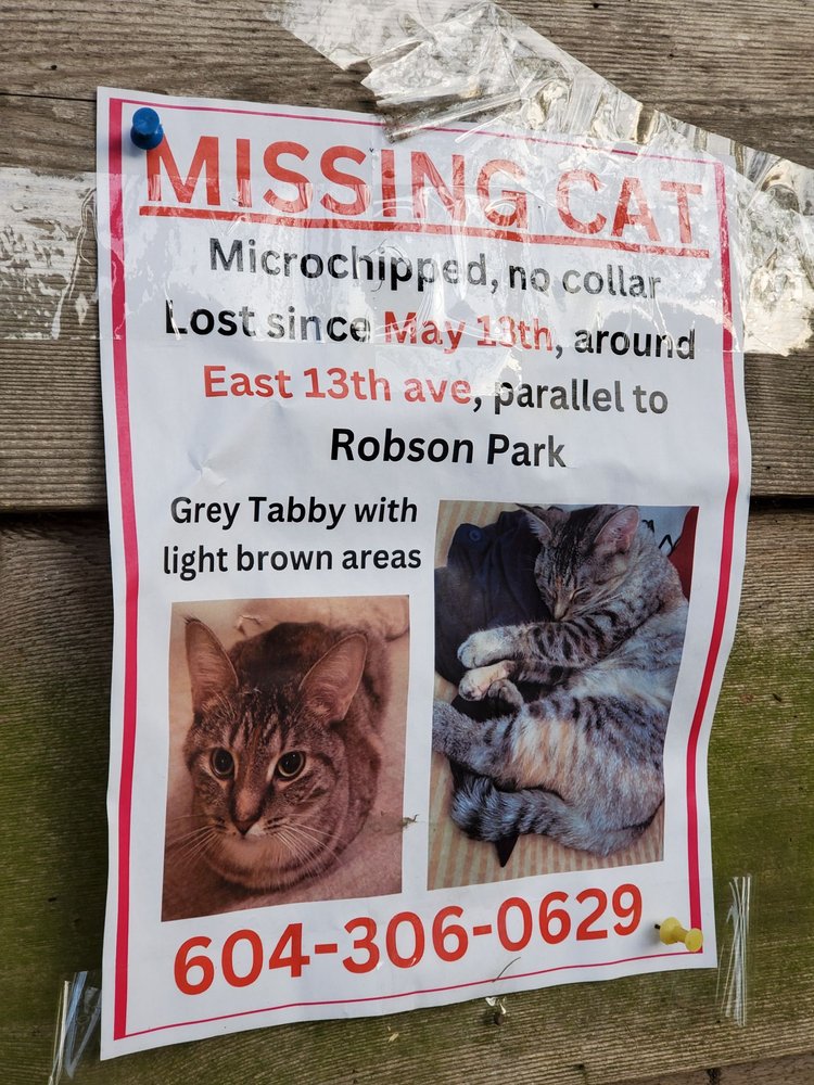 Robson Park
