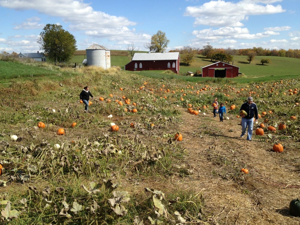 Image result for Arrowhead Orchard