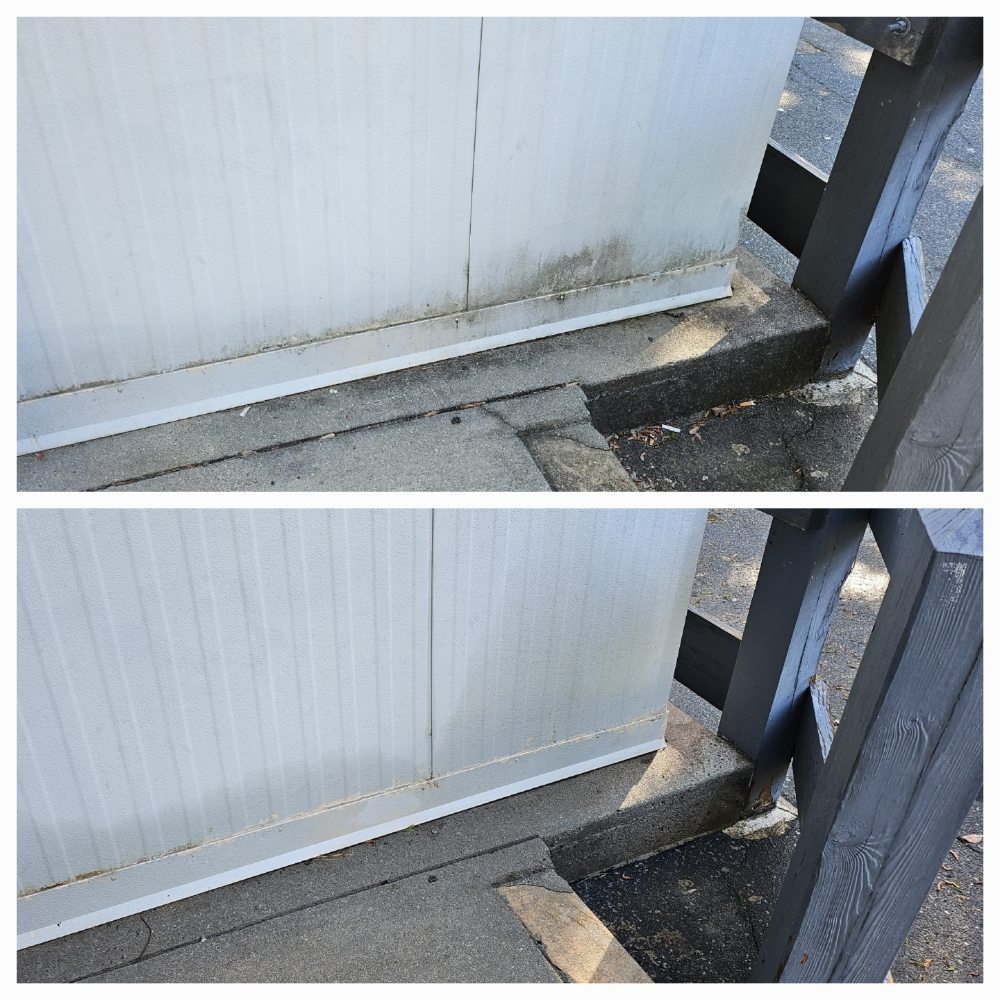 Dirty Guy Pressure Washing Services