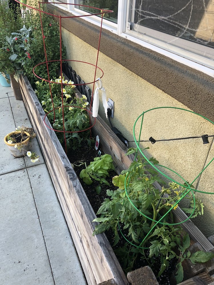 Moore's Western Nursery