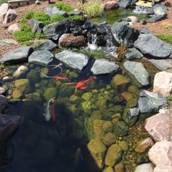 Kane Brothers Landscaping 12137 W 159th St Homer Glen Il Photo Of Kane Brothers Homer Glen Il United States