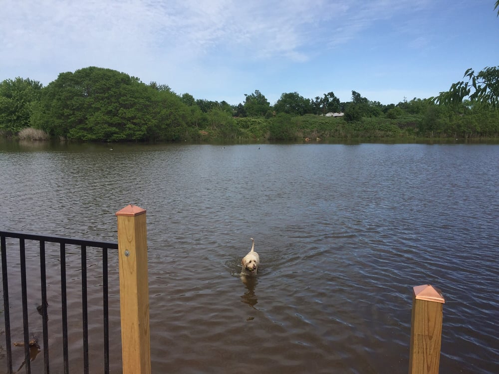 Edmond Dog Park 31 Photos & 16 Reviews Dog Parks 33RD St E