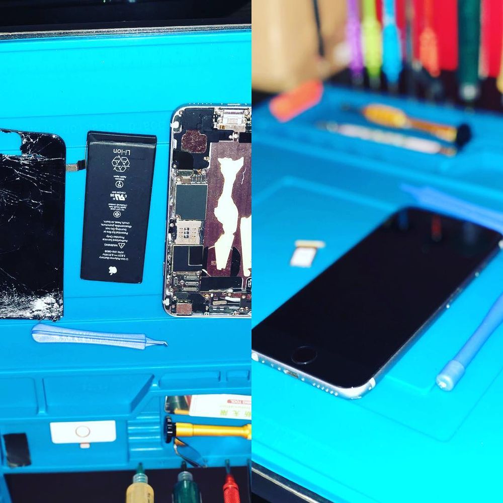 The Phone Jungle