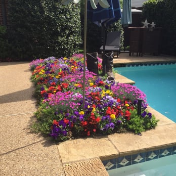 Ruibal S Plants Of Texas Nurseries Gardening 6670 Lemmon Ave Photo Of Ruibal S Plants Texas Dallas Tx United States