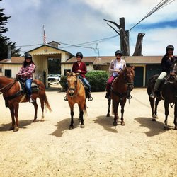 Equestrian Center Pebble Beach The Best Beaches In World Pebble Beach Equestrian Center 108 Photos 70 Reviews Horseback