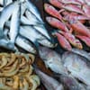 Fresh Gulf Seafood