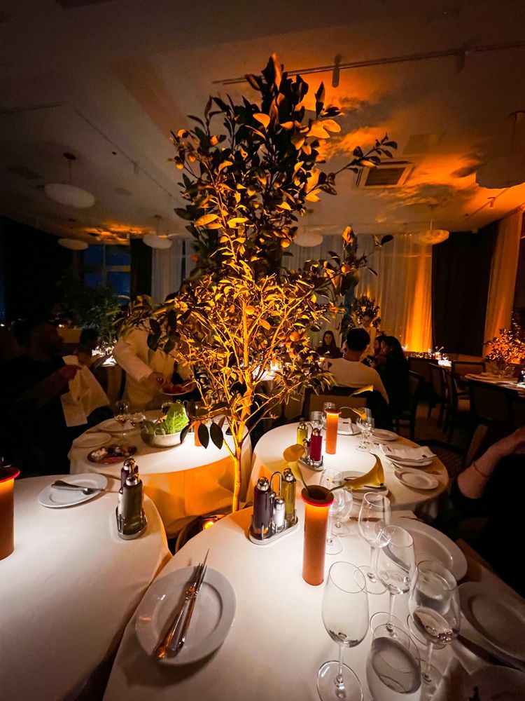 Habibi Rooftop the Restaurant, New York Roadtrippers