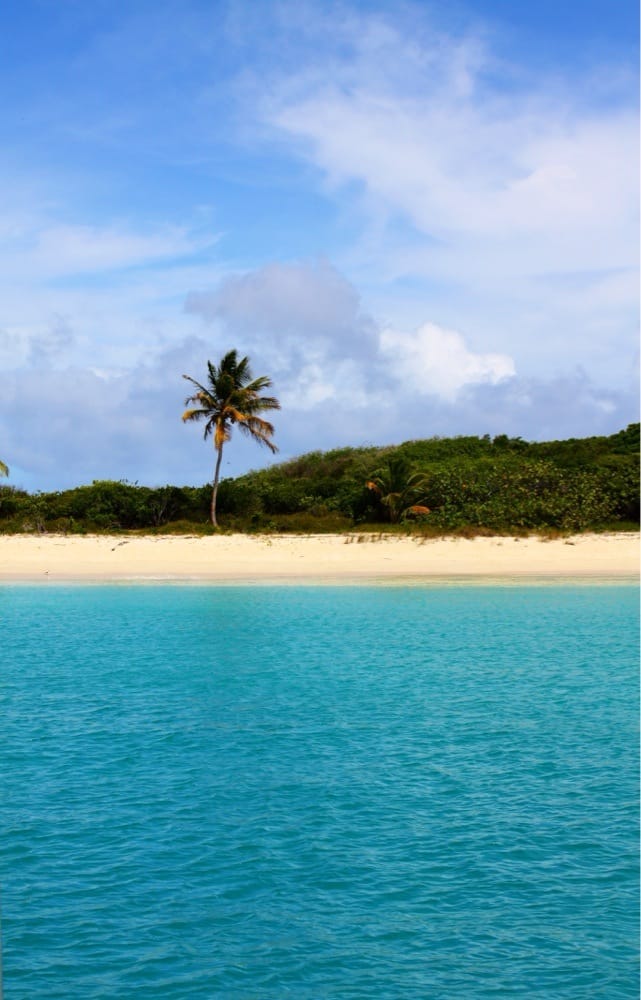 Turtle Beach Gorgeous Very Private The Island Is Empty No Photo Of East Island Excursions Fajardo Puerto Rico Turtle Beach