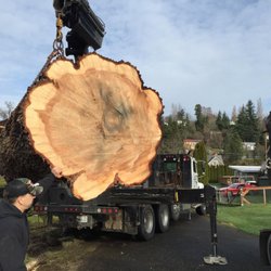 Rawls Tree Service 21 Reviews Services Bellingham Wa Photo Of Rawls Tree Service Bellingham Wa United States