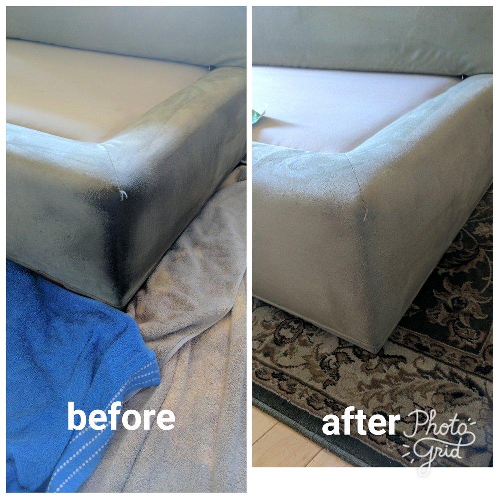 A Sofa Loved By The Family Dog He Loves To Rub His Against Photo Of Dirty Dog Carpet Cleaning Santa Clarita Ca United States A