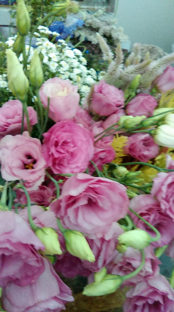 Eddy Farm 27 Photos Farmers Market 851 Willard Ave, Newington, CT