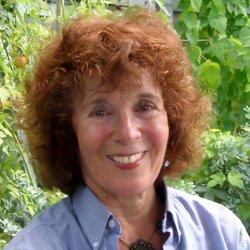 susan lee bady 59